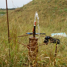 Самоизливающаяся скважина (Петриковское РУ)